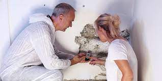 importance of mold inspection services