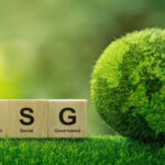 ESG Consulting Firms in the USA