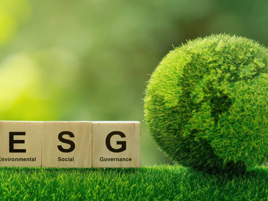 ESG Consulting Firms in the USA