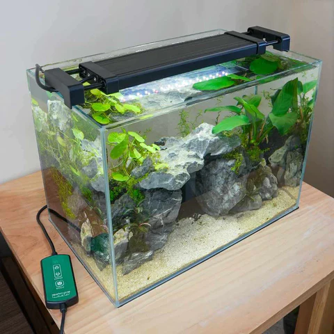 Fish Tank Lid