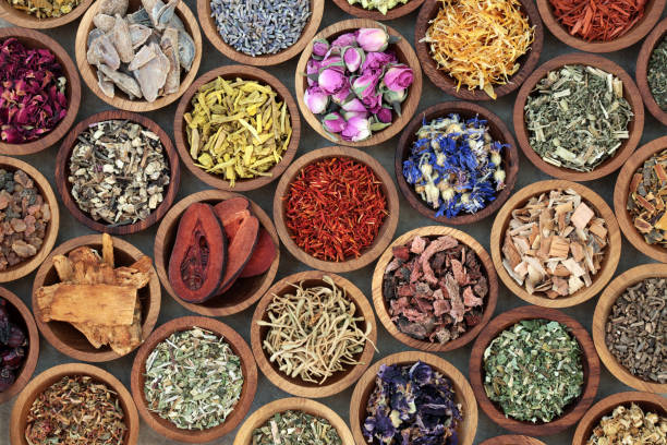 Top 6 Ayurvedic Herbs and Their Benefits