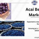 Acai Berry Market Size