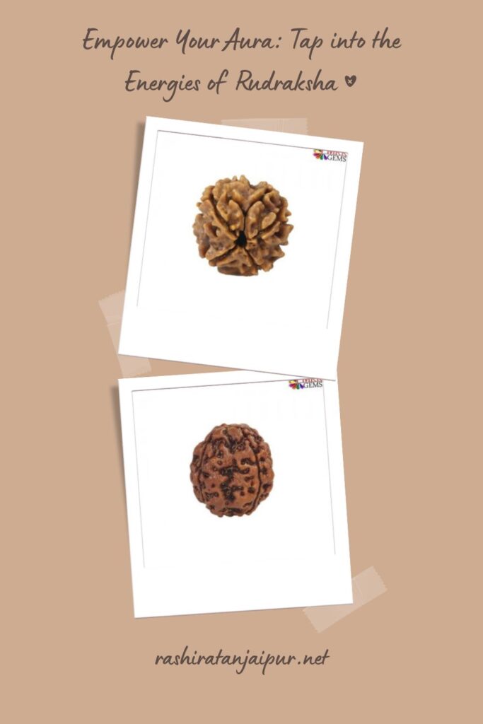 Exploring the Significance and Benefits of 3 Mukhi Rudraksha