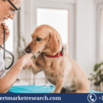 Canine Arthritis Treatment Market