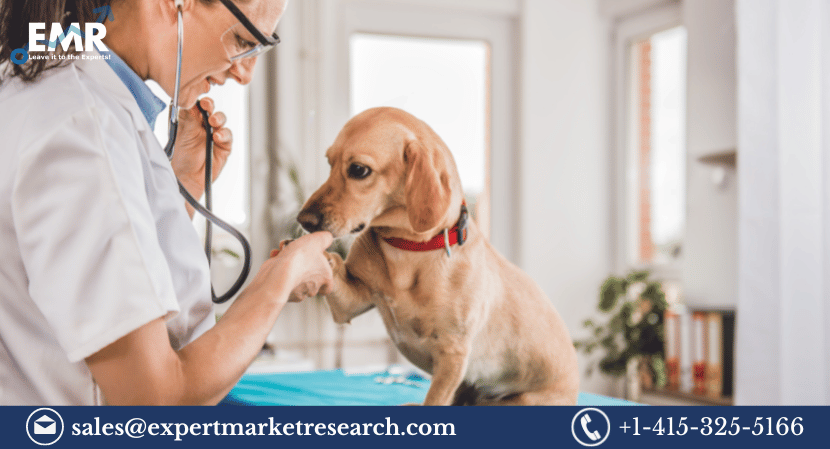 Canine Arthritis Treatment Market