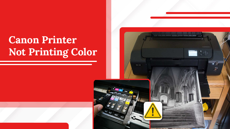 Canon-Printer-Not-Printing-Color