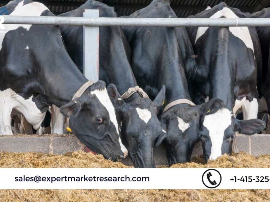 Cattle Feed Market Size