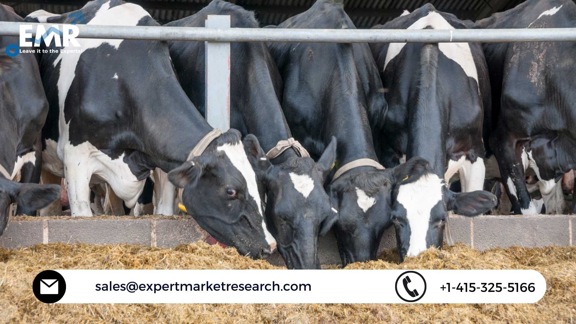 Cattle Feed Market Size