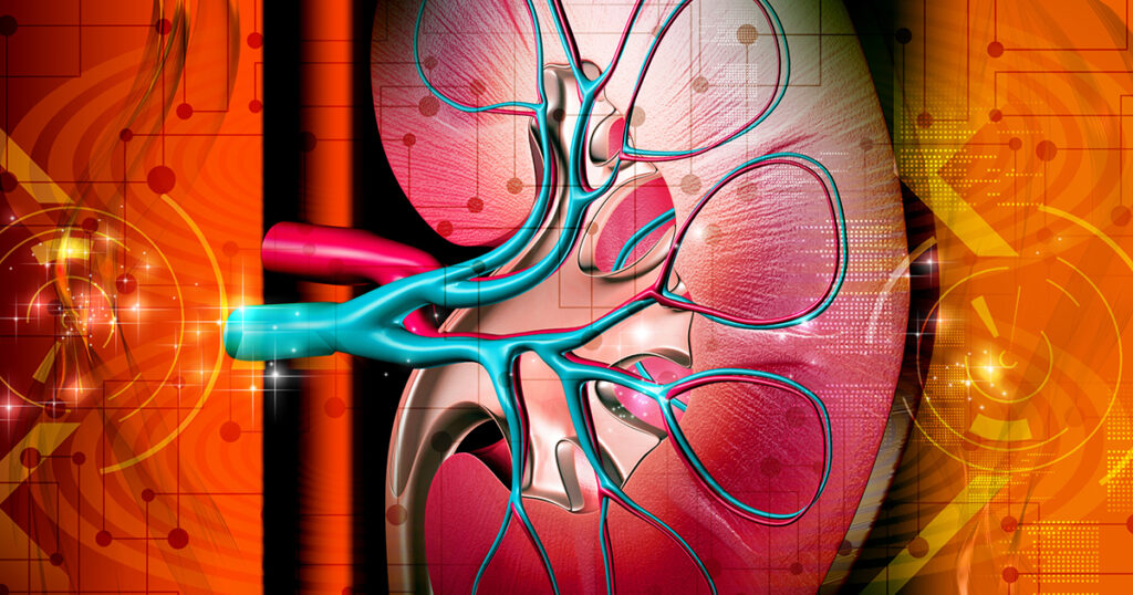 Chronic Kidney Disease Tests