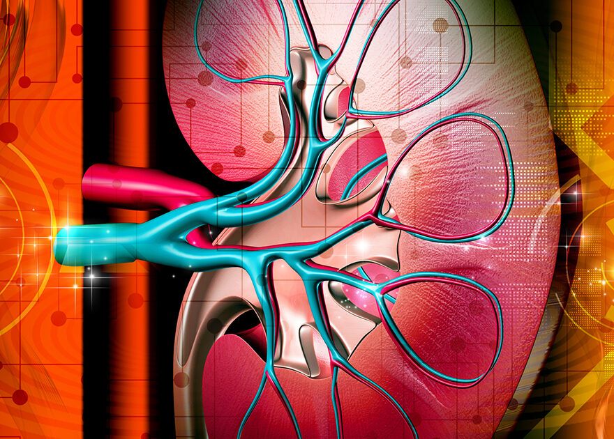 Chronic Kidney Disease Tests