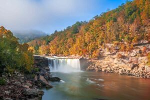 .Daniel Boone National Forest