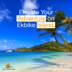 EbikeIsland