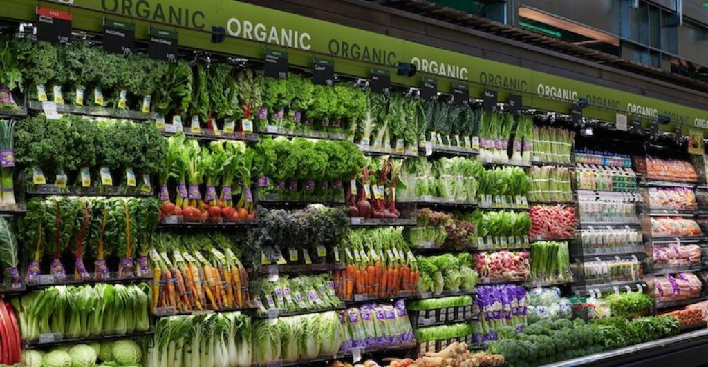 Europe Organic Food and Beverages Market Growth, Share by Companies and Forecast 2023-2028