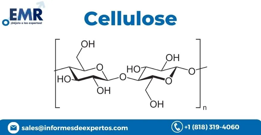 Global Cellulose Market