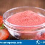 Global Fruit Powder Market