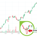 Invest 1 core for Monthly Income in India