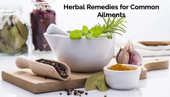 Herbal Remedies for Common Ailments