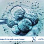 Human Embryonic Stem Cell Market Size