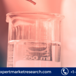 Hydrazine Hydrate Market Size