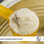 Infant Food Ingredients Market Share