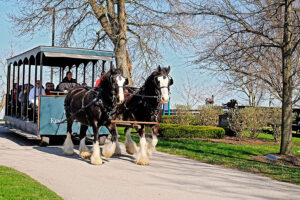 Kentucky Horse Park