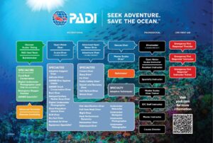 Scuba Diving Courses and Certifications