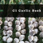 G1 Garlic, G1 Garlic price in Pakistan, G1 Garlic supplier in Pakistan, Best G1 Garlic price, High-quality G1 Garlic Seed, Buy G1 Garlic in Pakistan, G1 Garlic for sale in Pakistan, G1 Garlic seeds in Pakistan, G1 Garlic purchase online, G1 Garlic variety in Pakistan, G1 Garlic wholesale in Pakistan, G1 Garlic bulk purchase, Affordable G1 Garlic seeds, G1 Garlic sale offer, Fresh G1 Garlic seeds, NHI Traders, Agriculture