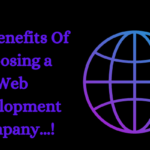 Top Benefits Of Choosing a Web Development Company...!