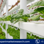 Vertical Farming Market Size