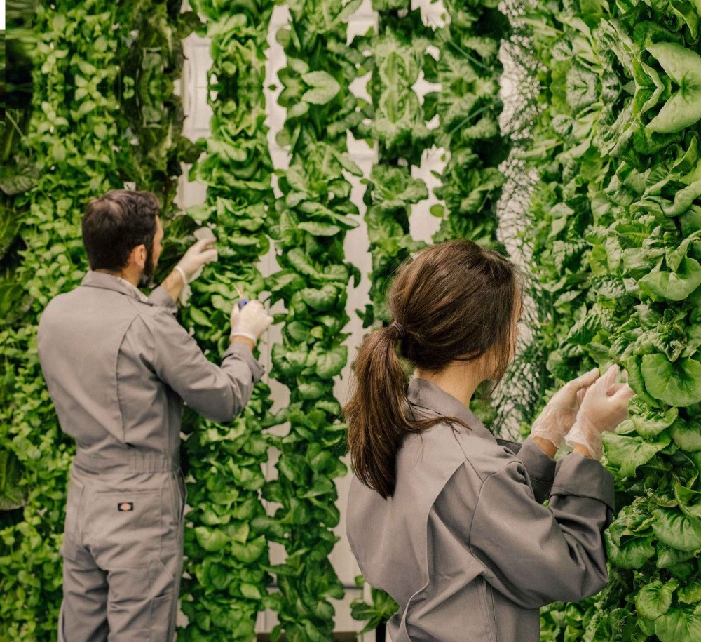 Vertical Farming Market