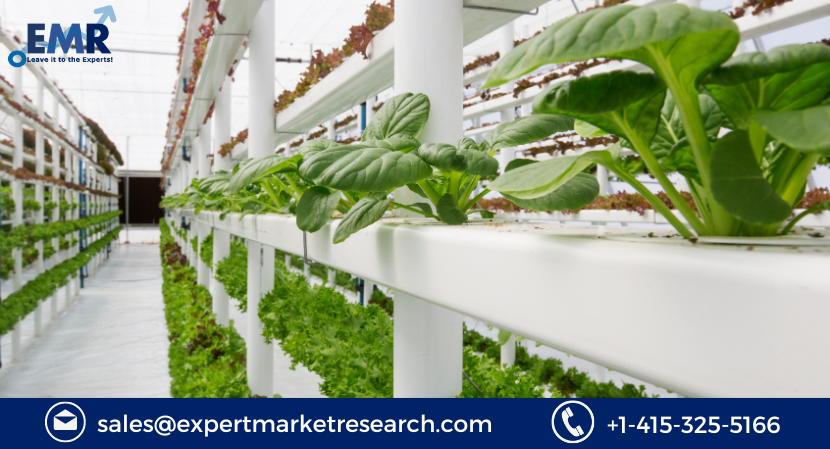 Vertical Farming Market Size