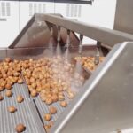 Walnut Processing Plant Project Report 2023: Manufacturing Process, Plant Setup and Business Plan 2028