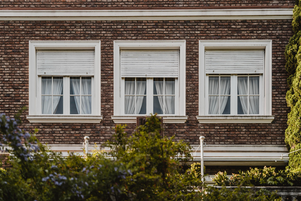 Windows Belfast