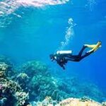 Dive into adventure: A guide to plan a scuba diving trip to Malvan