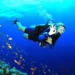 The Experience of Scuba Diving in Andaman