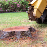 Stump Grinding