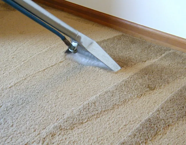 rug cleaners toronto