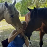 Unveiling the Power of Equine Emotional Awareness Therapy