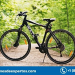 Latin America Bicycle Market