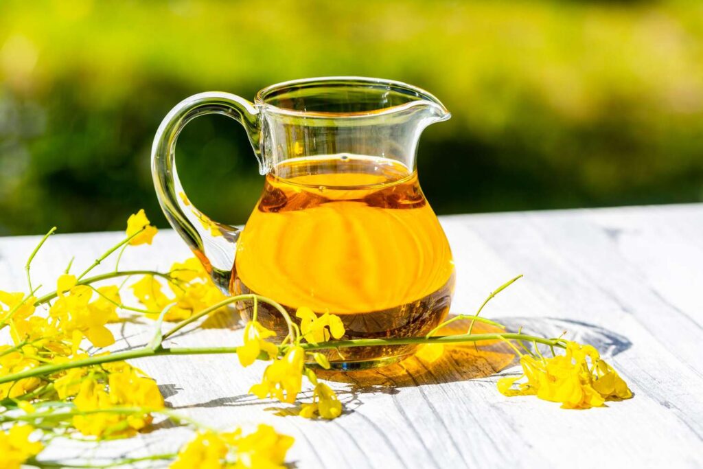 Canola Oil Processing Plant Project Report 2023