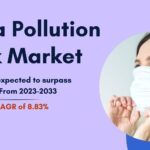 China Pollution Mask Market