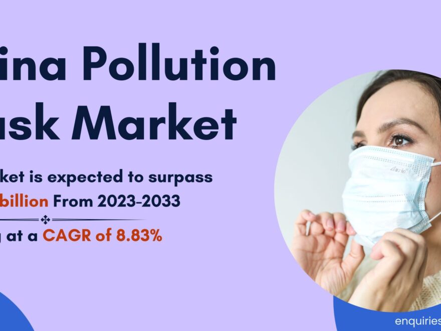 China Pollution Mask Market