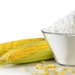 Corn Starch Production Cost Analysis Report