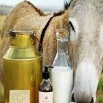 Donkey Milk Market Size, Industry Trends, Share Report, 2023-2028