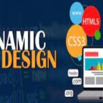 Elevate Your Online Presence with Dynamic Website Services