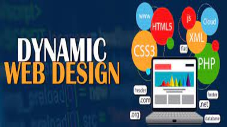 Elevate Your Online Presence with Dynamic Website Services