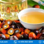 Global palm oil market, Size, Share, Growth | Forecast2023-2028 | Renub Research