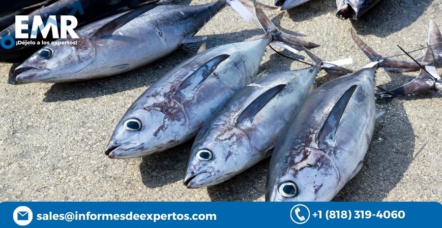 Global Tuna Market