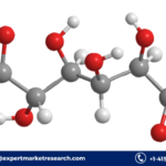 Glucaric Acid Market