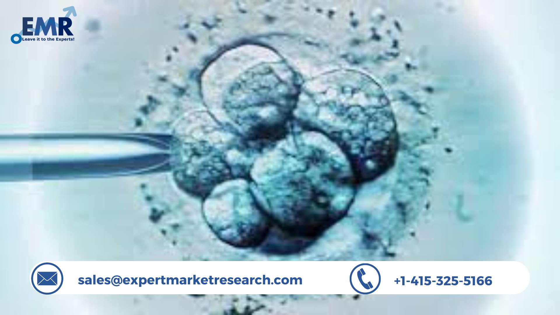 Human Embryonic Stem Cell Market Share